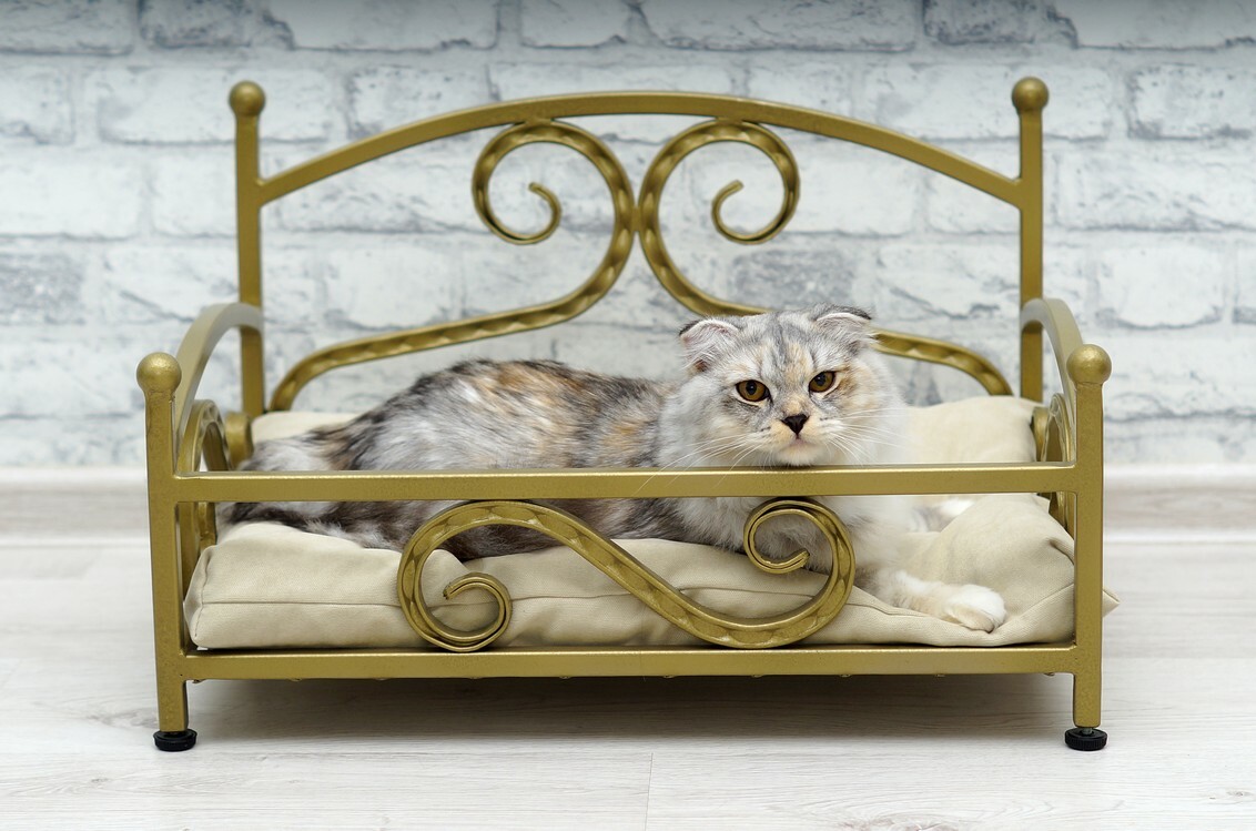 Кованая лежанка-кровать для кошки